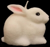 Coelho (3 un/cx)